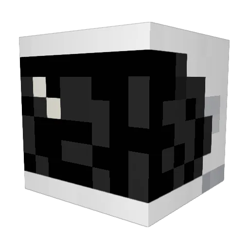Crafter446 Minecraft avatar head, 3D render