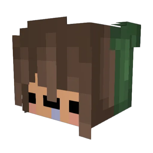 CrafterAda Minecraft avatar head, 3D render