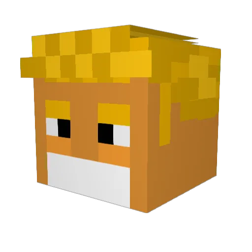 Craftinator_84 Minecraft avatar head, 3D render