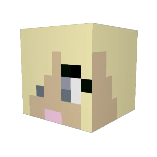 CraftingCritter Minecraft avatar head, 3D render