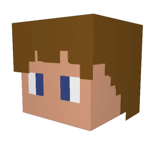 Craftingleo01 Minecraft avatar head, 3D render
