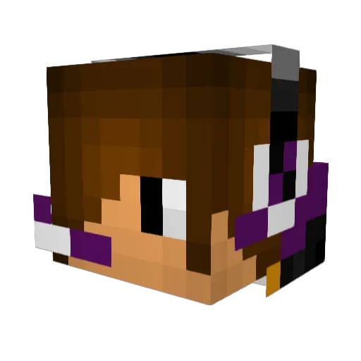 Craftking4444 Minecraft avatar head, 3D render
