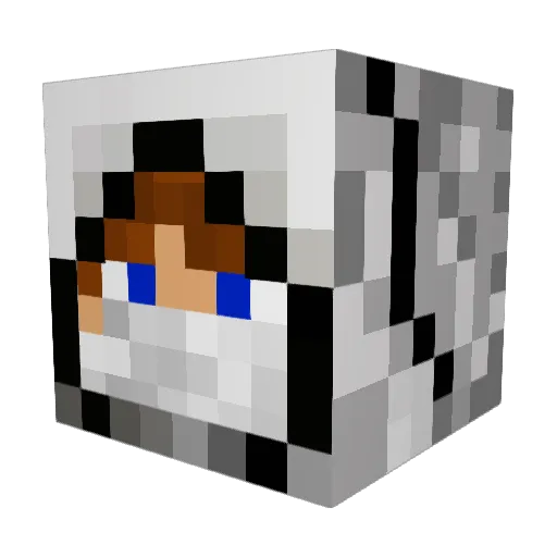 Craftmann2 Minecraft avatar head, 3D render