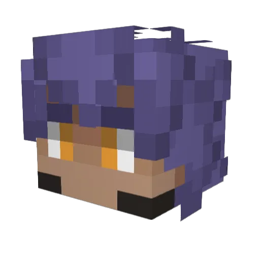 CraftmasterBunni Minecraft avatar head, 3D render