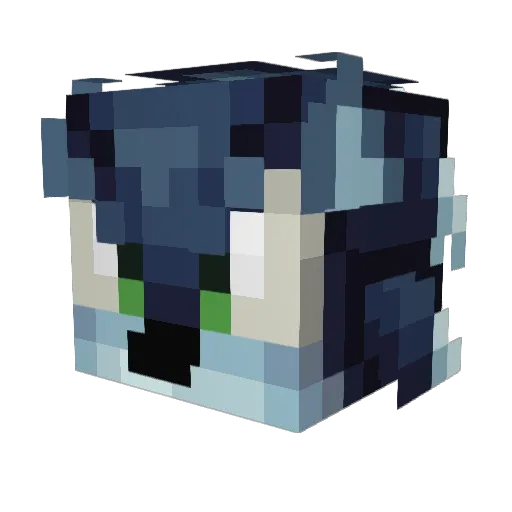 Craftmasternj5 Minecraft avatar head, 3D render