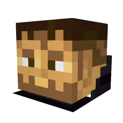 Craftonaut_Z Minecraft avatar head, 3D render