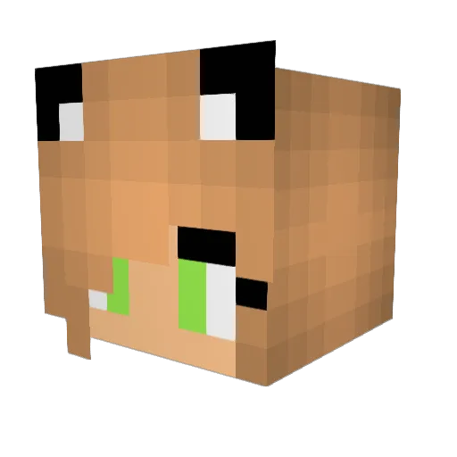 CraftyBug Minecraft avatar head, 3D render