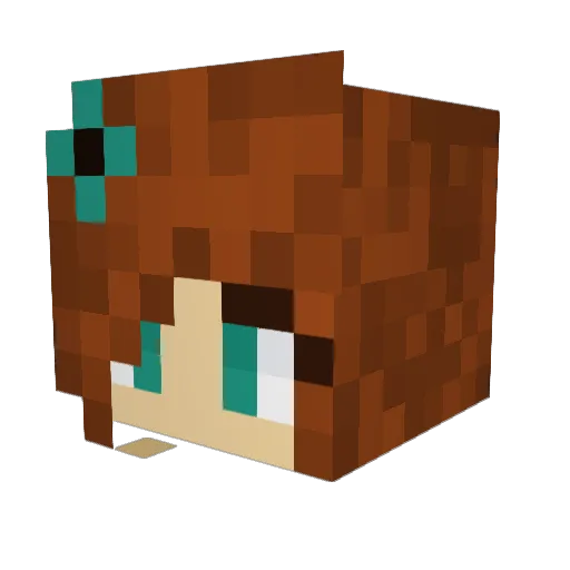 CraftyCasady Minecraft avatar head, 3D render