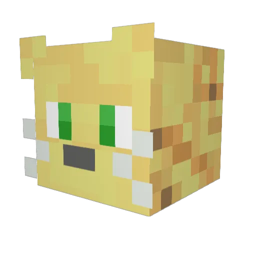 CraftyMinx Minecraft avatar head, 3D render