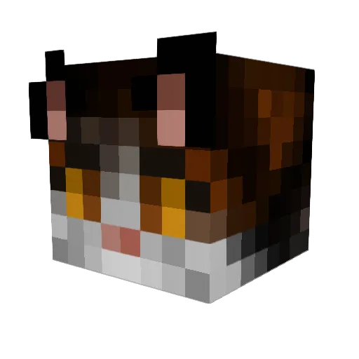 CraftyMous Minecraft avatar head, 3D render