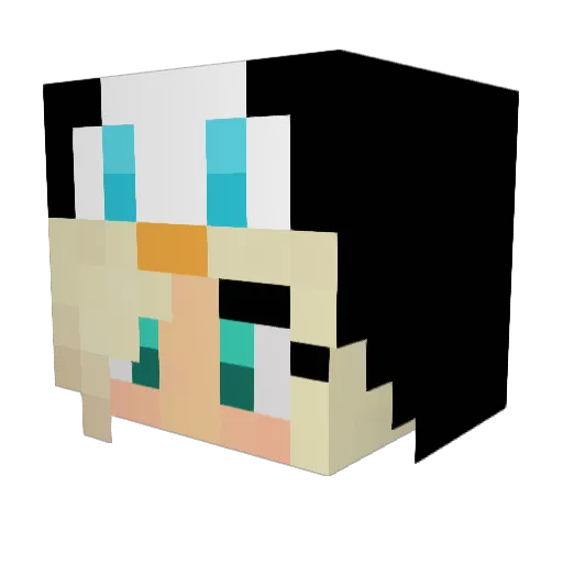 Crafty_Penguin42 Minecraft avatar head, 3D render