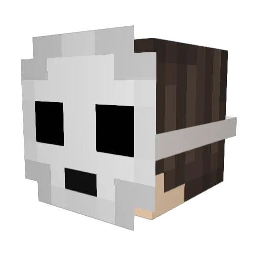 Crafty_Ryan11 Minecraft avatar head, 3D render