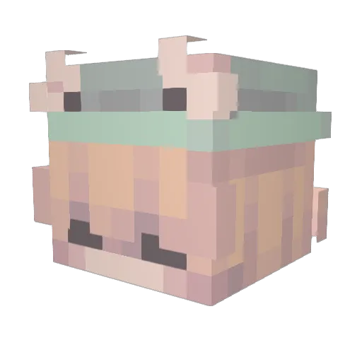 Craftyberry2004 Minecraft avatar head, 3D render