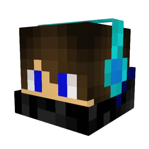 Craftycountry Minecraft avatar head, 3D render