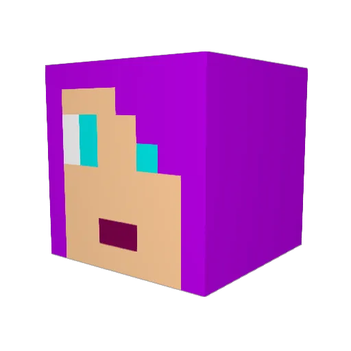 Craftygirl55 Minecraft avatar head, 3D render