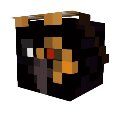 Craigyyy9 Minecraft avatar head, 3D render