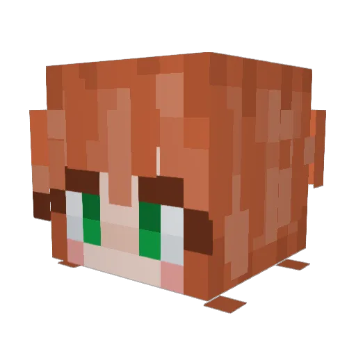 CraisinQueen Minecraft avatar head, 3D render
