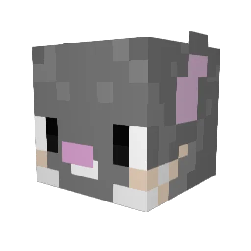 Craizeee Minecraft avatar head, 3D render