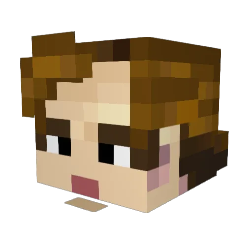 Crane62 Minecraft avatar head, 3D render