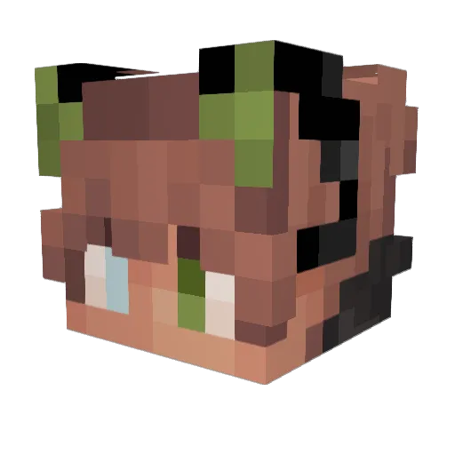 CraneRae Minecraft avatar head, 3D render