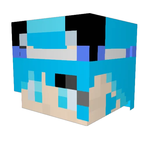 Crane_chirp Minecraft avatar head, 3D render