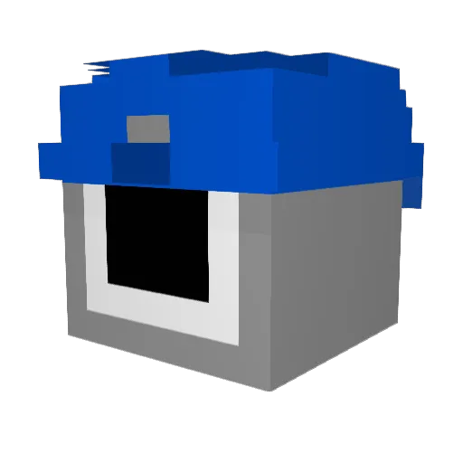 Craney71 Minecraft avatar head, 3D render