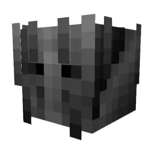 Craniax20 Minecraft avatar head, 3D render