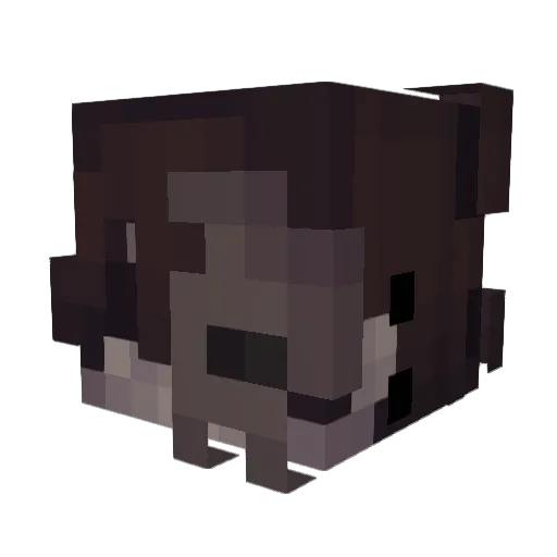 Crank0608 Minecraft avatar head, 3D render