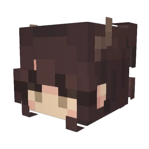 Crankkitx Minecraft avatar head, 3D render