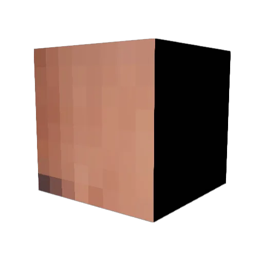 CrappyGamesGuy Minecraft avatar head, 3D render