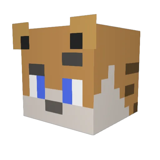 CrapsyHD Minecraft avatar head, 3D render