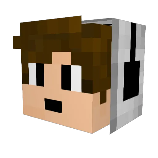 Craron Minecraft avatar head, 3D render