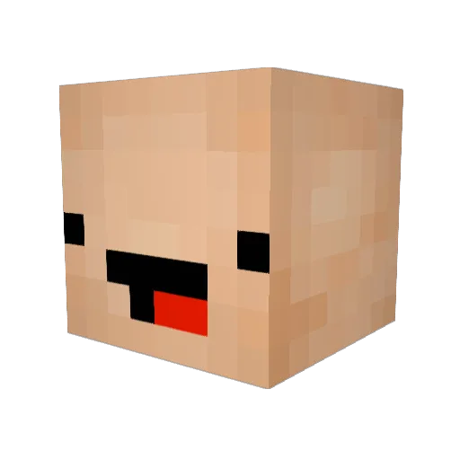 Crash55 Minecraft avatar head, 3D render