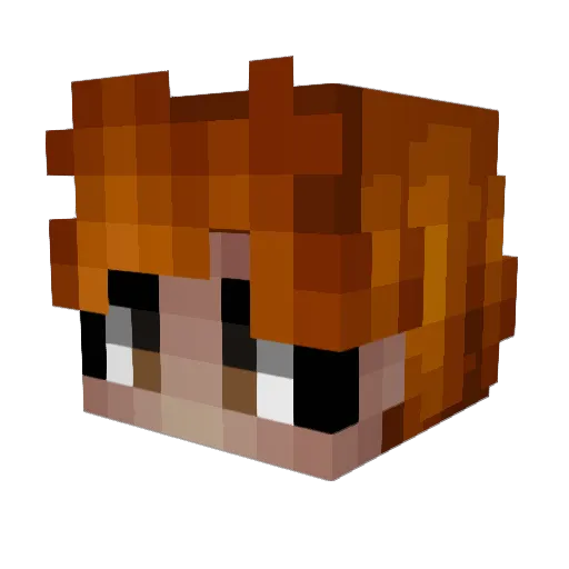 CrashCrawdad864 Minecraft avatar head, 3D render