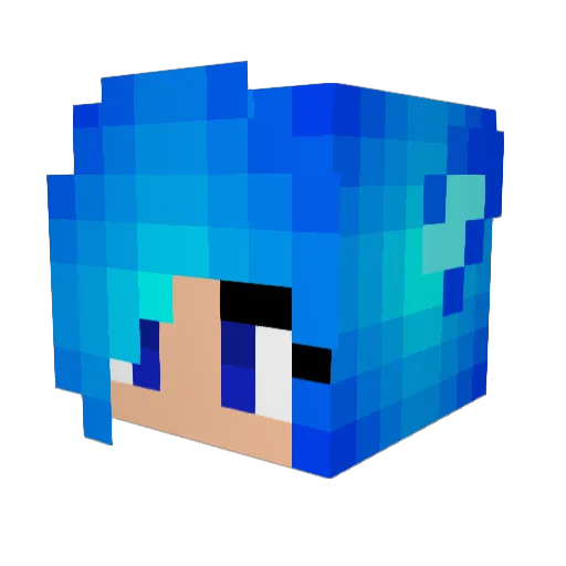 CrashLPs53 Minecraft avatar head, 3D render