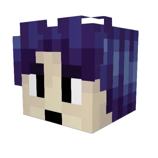 CrashMedalion Minecraft avatar head, 3D render