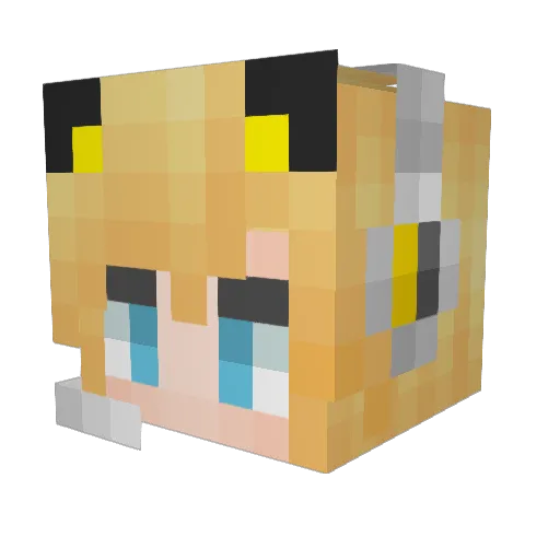 CrashZ Minecraft avatar head, 3D render