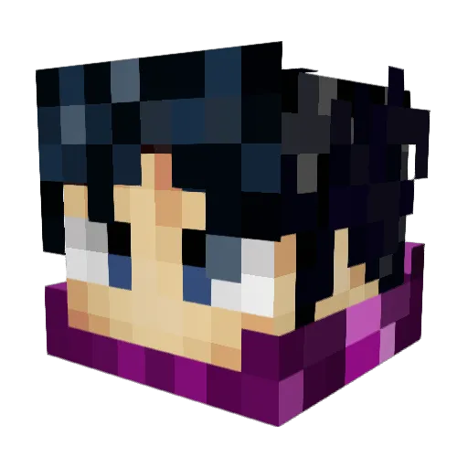 Crash_1004 Minecraft avatar head, 3D render