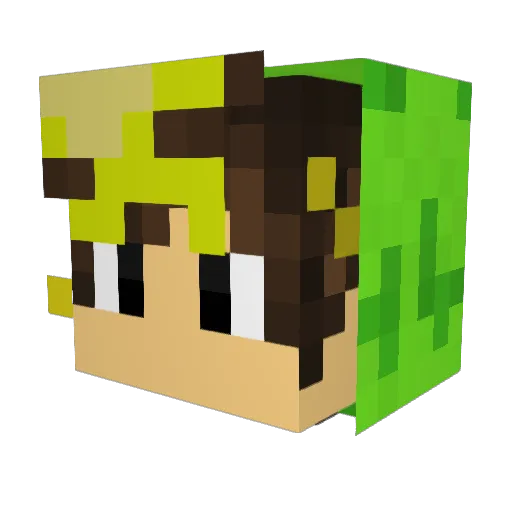 Crash_Crish Minecraft avatar head, 3D render