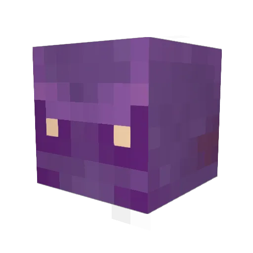 Crashahol Minecraft avatar head, 3D render