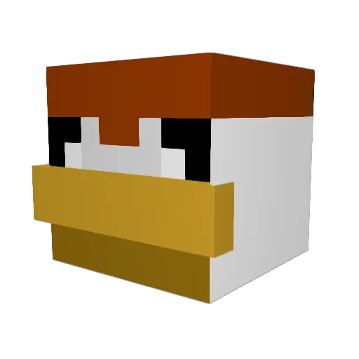 Crasher0209 Minecraft avatar head, 3D render