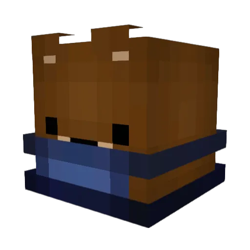 Crasher508 Minecraft avatar head, 3D render