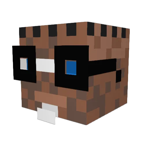 CrasherMasher Minecraft avatar head, 3D render