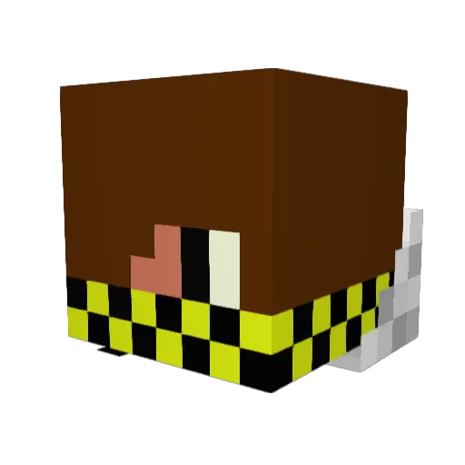 Crashfin Minecraft avatar head, 3D render