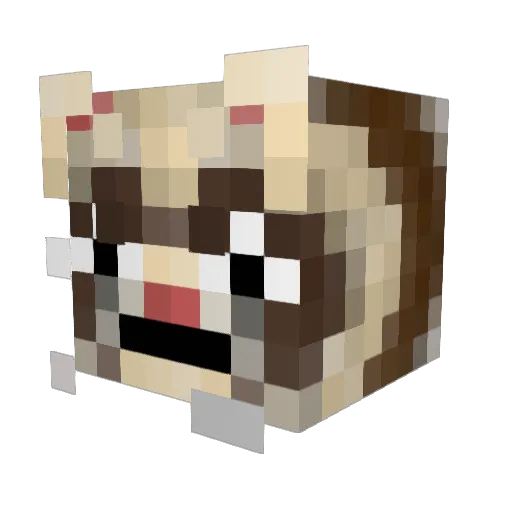 CrashingPotato Minecraft avatar head, 3D render