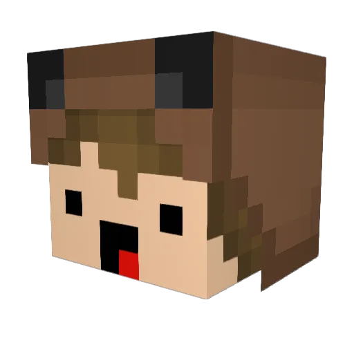 Crashsey Minecraft avatar head, 3D render