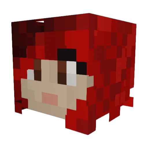 Crashthefuneral Minecraft avatar head, 3D render