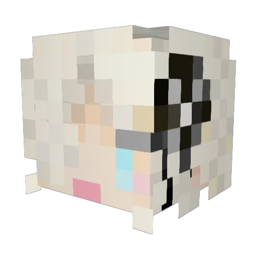 Crassandra Minecraft avatar head, 3D render