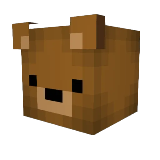 Crasty_11 Minecraft avatar head, 3D render