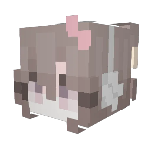 Crasy_ Minecraft avatar head, 3D render